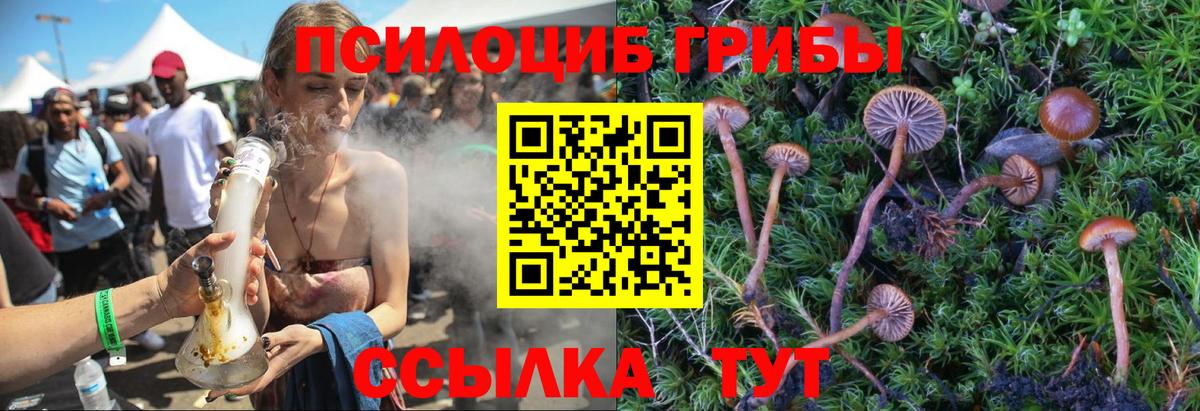 Галлюциногенные грибы Cubensis  Вход с VPN  Советск 